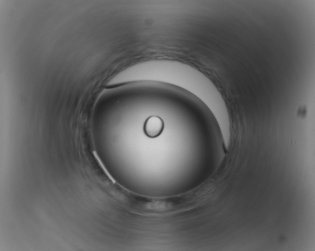 X0000113230225200909171546