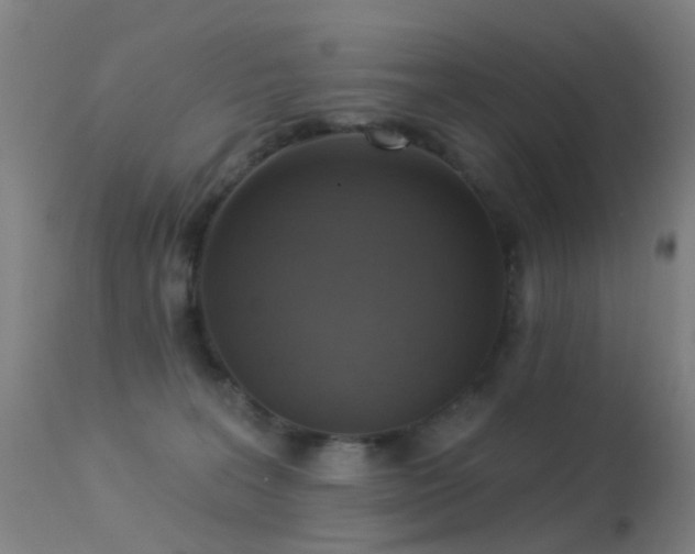 X0000113230227200909171546