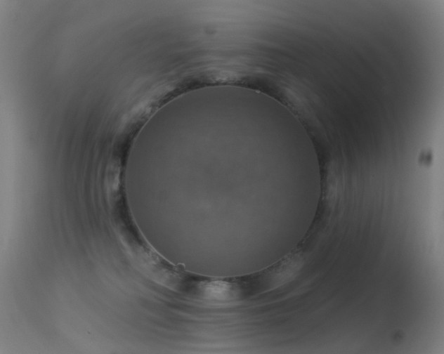 X0000113230230200909171546