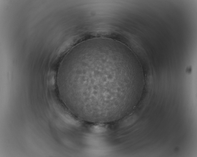 X0000113230232200909171546