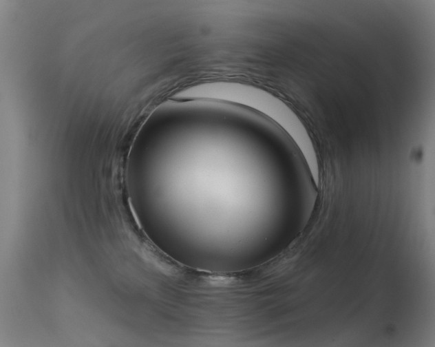 X0000113230233200909171546