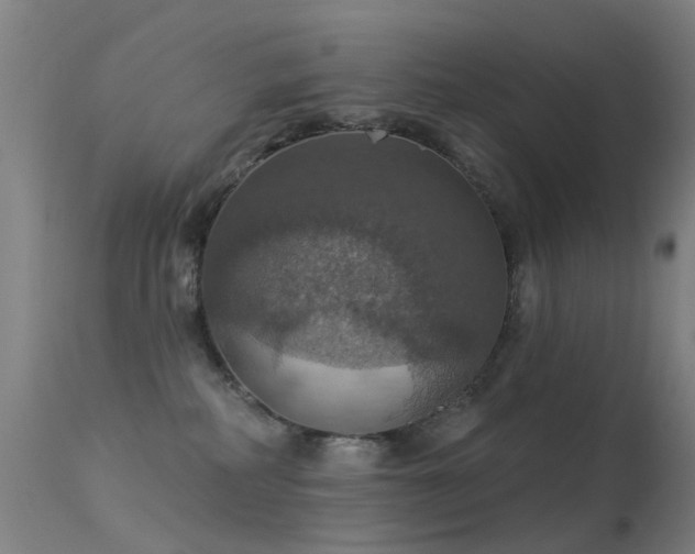 X0000113230234200909171546