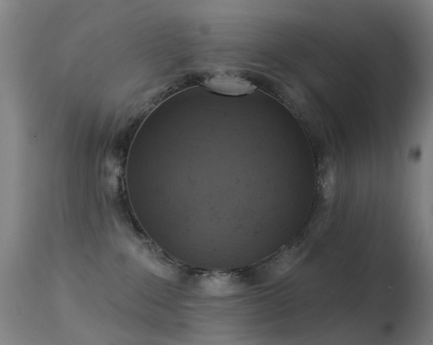 X0000113230235200909171546