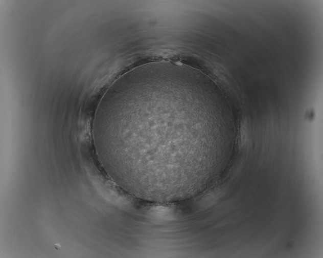 X0000113230236200909171546