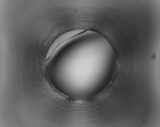 X0000113230237200909171546