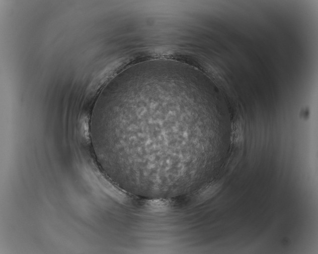 X0000113230238200909171546