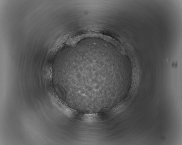 X0000113230240200909171546