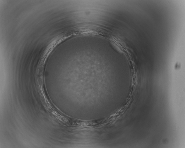 X0000113230241200909171545