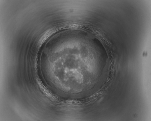 X0000113230242200909171545