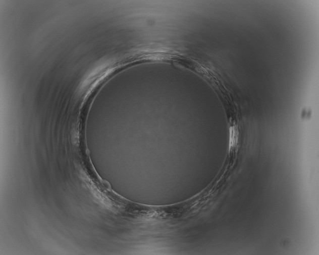 X0000113230243200909171545