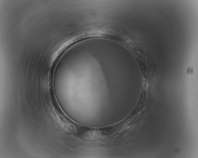 X0000113230244200909171545