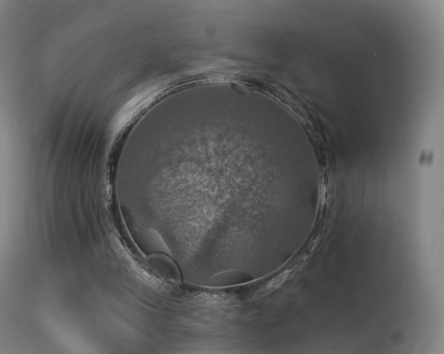 X0000113230245200909171545