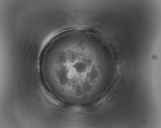 X0000113230246200909171545