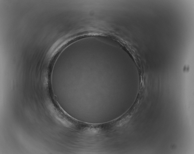 X0000113230247200909171545