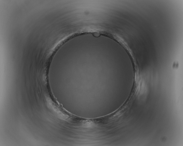 X0000113230249200909171545