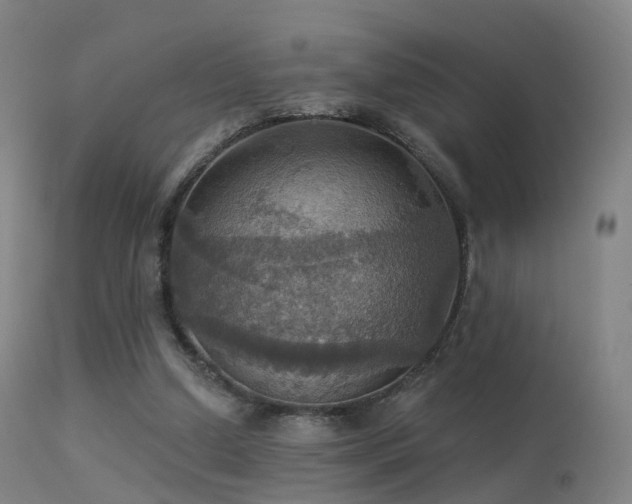 X0000113230250200909171545