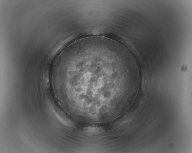 X0000113230251200909171545