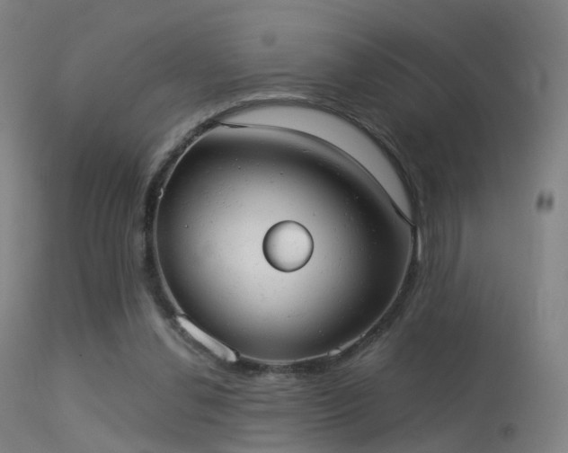 X0000113230252200909171545