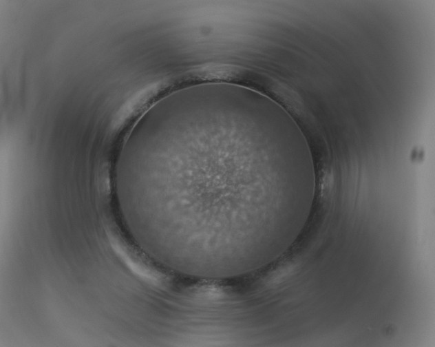 X0000113230254200909171545