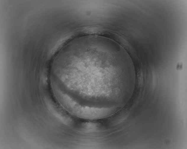 X0000113230255200909171545