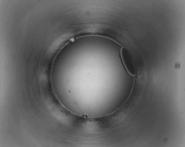 X0000113230256200909171545