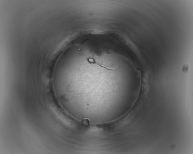 X0000113230257200909171545