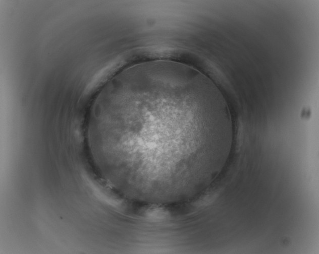 X0000113230258200909171545