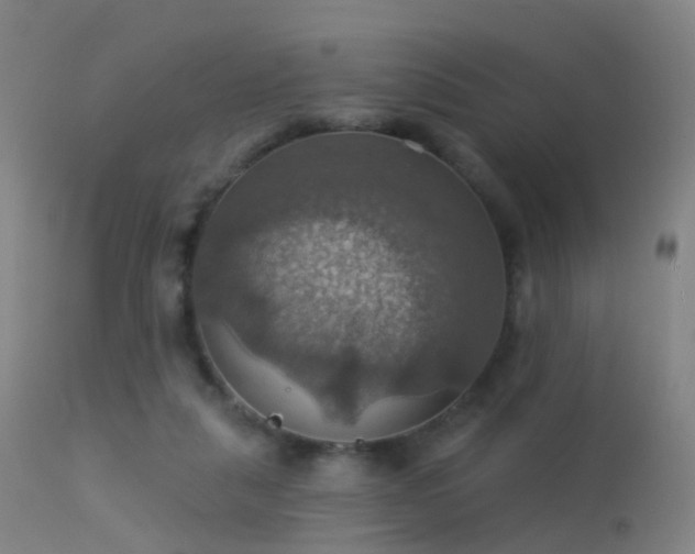 X0000113230259200909171545