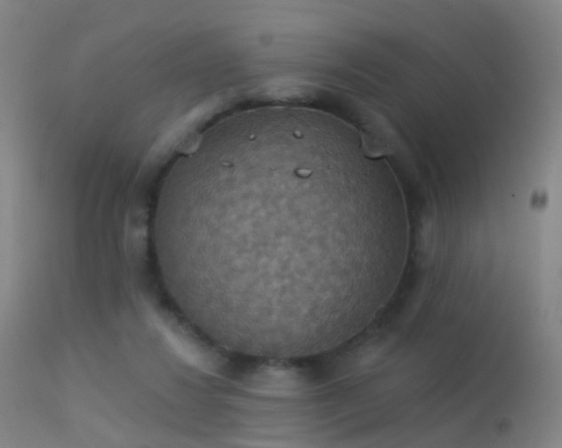 X0000113230260200909171545