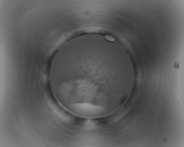 X0000113230261200909171545