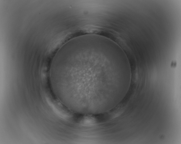 X0000113230263200909171546