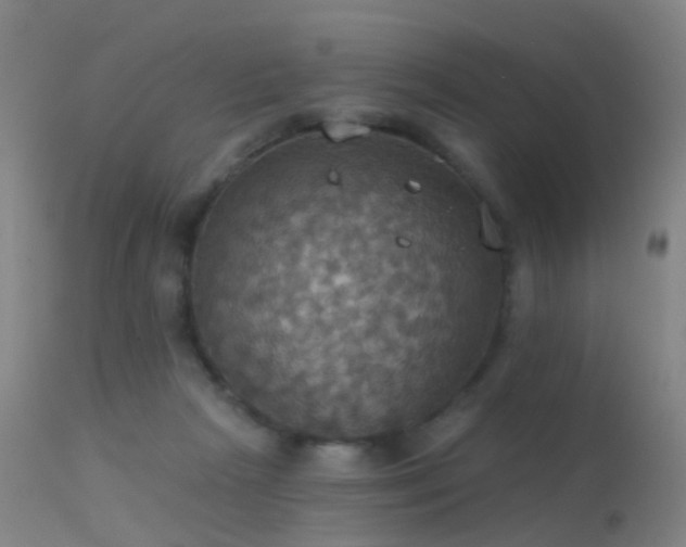 X0000113230265200909171546