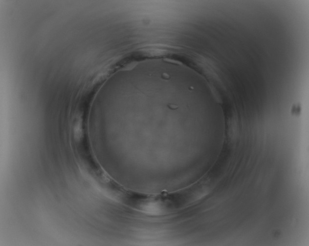 X0000113230267200909171546