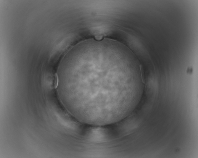 X0000113230268200909171546