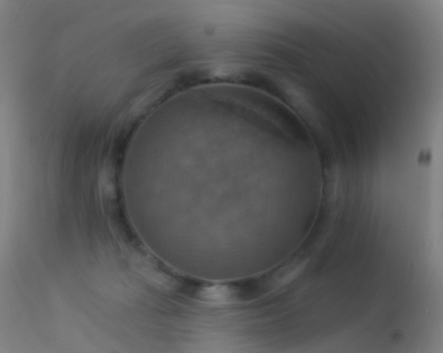 X0000113230269200909171546