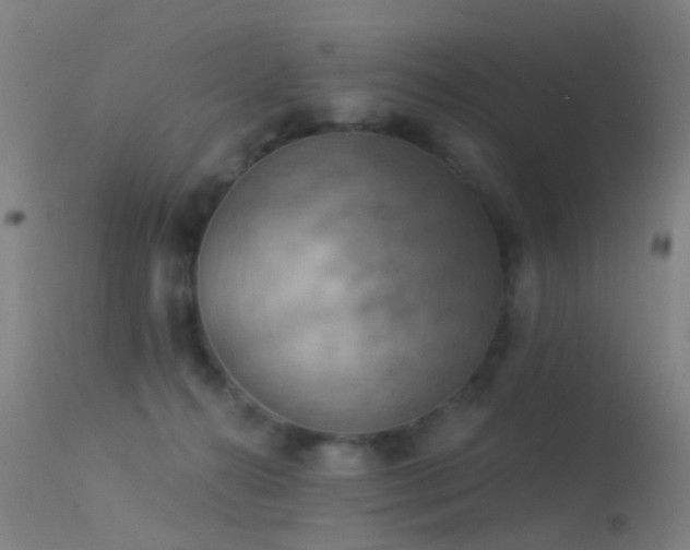 X0000113230272200909171546