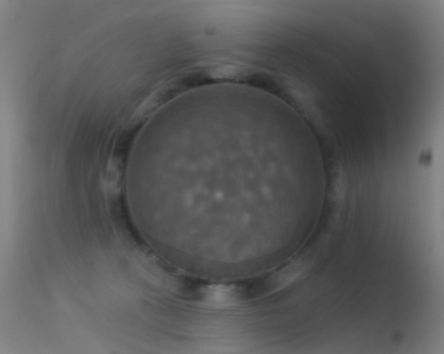 X0000113230273200909171546