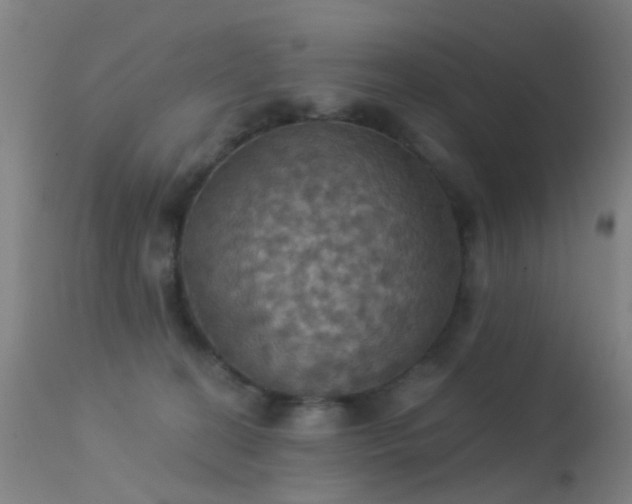 X0000113230274200909171546