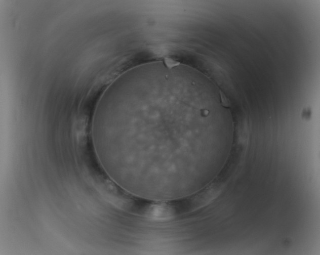 X0000113230275200909171546