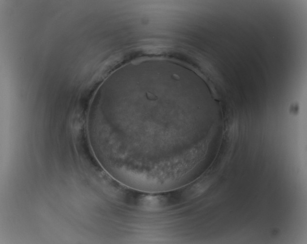 X0000113230277200909171546