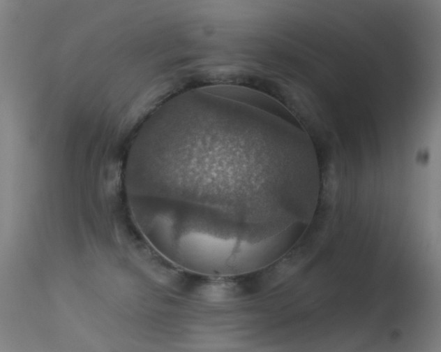 X0000113230278200909171546