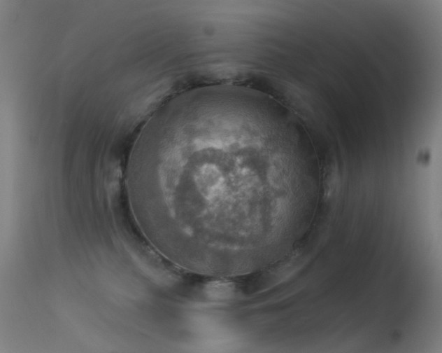 X0000113230279200909171546