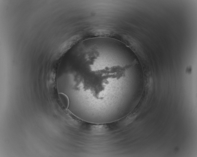 X0000113230281200909171546