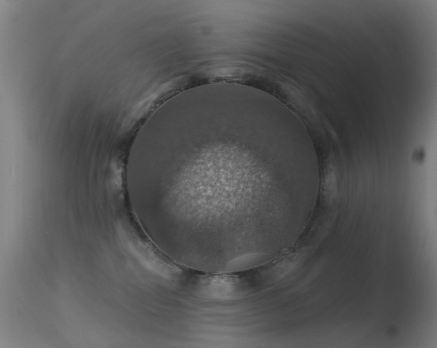 X0000113230282200909171546