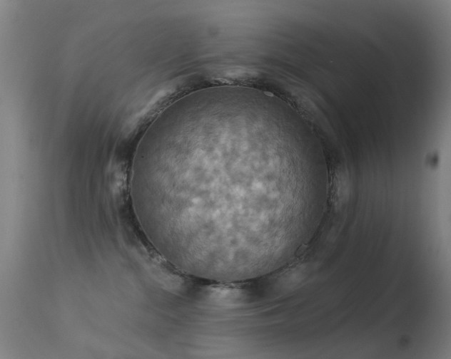 X0000113230284200909171546