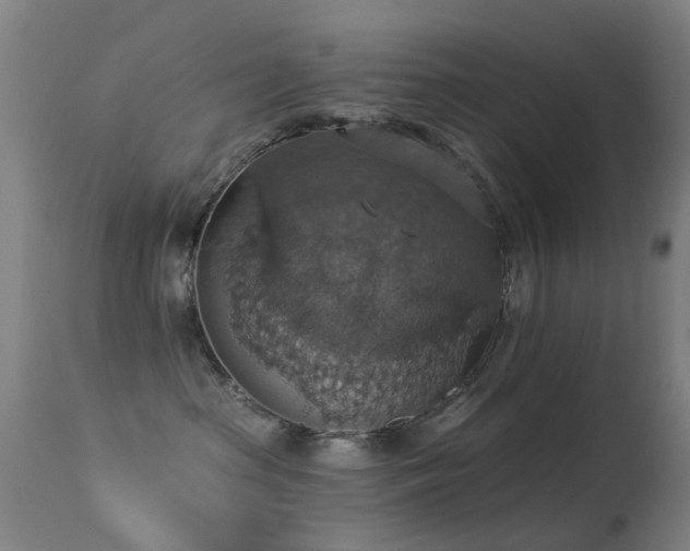 X0000113230285200909171546