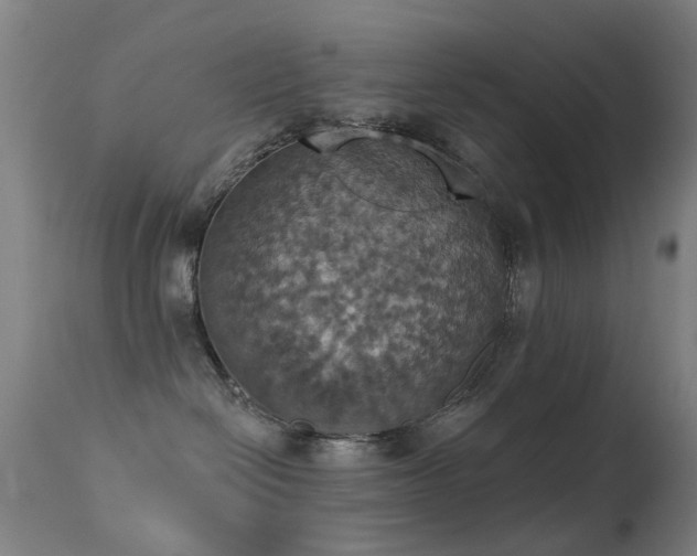 X0000113230286200909171546