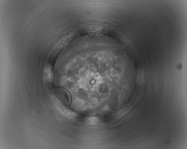 X0000113230287200909171546