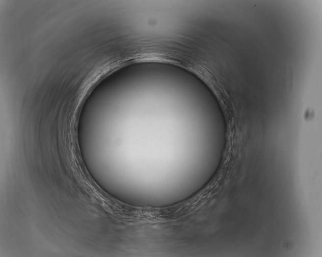 X0000113230289200909171545