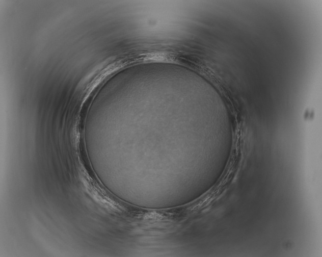 X0000113230290200909171545